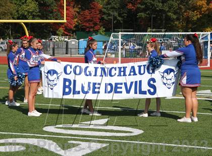 Thumbnail 3 in Morgan @ Coginchaug Regional photogallery.
