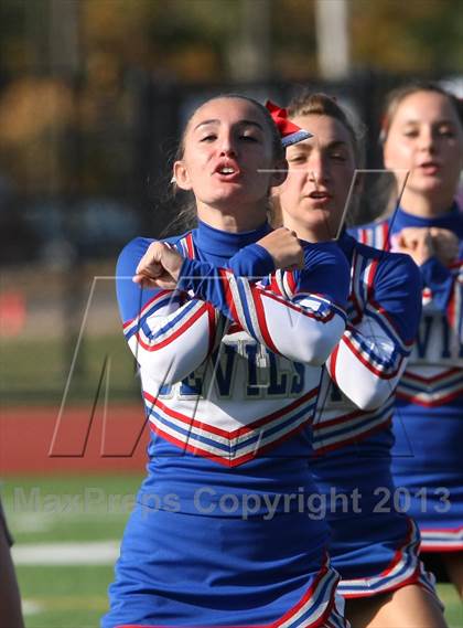 Thumbnail 1 in Morgan @ Coginchaug Regional photogallery.