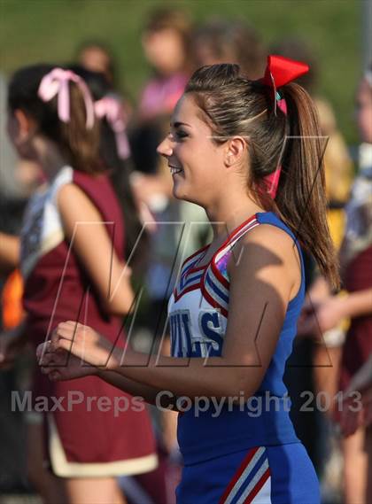 Thumbnail 1 in Morgan @ Coginchaug Regional photogallery.