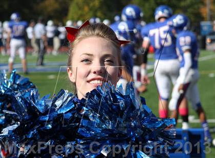 Thumbnail 1 in Morgan @ Coginchaug Regional photogallery.