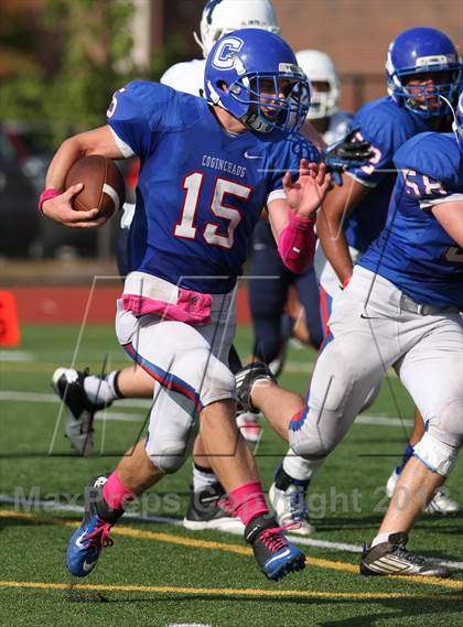 Thumbnail 3 in Morgan @ Coginchaug Regional photogallery.