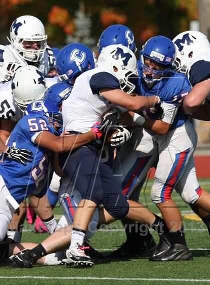 Thumbnail 1 in Morgan @ Coginchaug Regional photogallery.