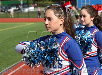 Thumbnail 2 in Morgan @ Coginchaug Regional photogallery.