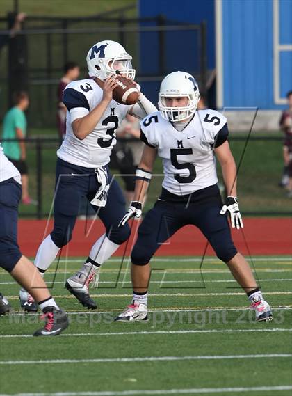 Thumbnail 1 in Morgan @ Coginchaug Regional photogallery.