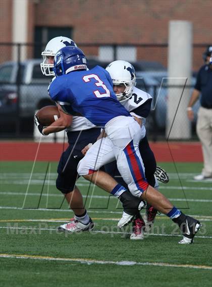 Thumbnail 1 in Morgan @ Coginchaug Regional photogallery.