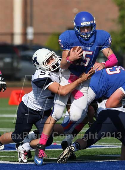 Thumbnail 2 in Morgan @ Coginchaug Regional photogallery.