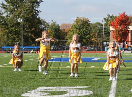Thumbnail 1 in Morgan @ Coginchaug Regional photogallery.