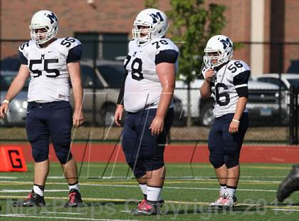 Thumbnail 1 in Morgan @ Coginchaug Regional photogallery.