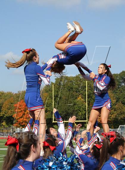 Thumbnail 3 in Morgan @ Coginchaug Regional photogallery.