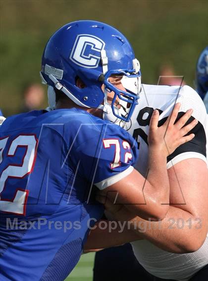 Thumbnail 1 in Morgan @ Coginchaug Regional photogallery.