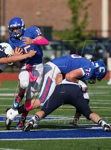 Thumbnail 1 in Morgan @ Coginchaug Regional photogallery.