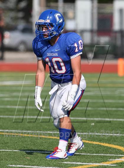 Thumbnail 2 in Morgan @ Coginchaug Regional photogallery.