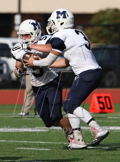 Thumbnail 1 in Morgan @ Coginchaug Regional photogallery.