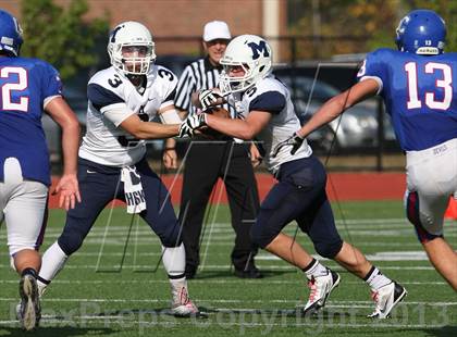Thumbnail 1 in Morgan @ Coginchaug Regional photogallery.