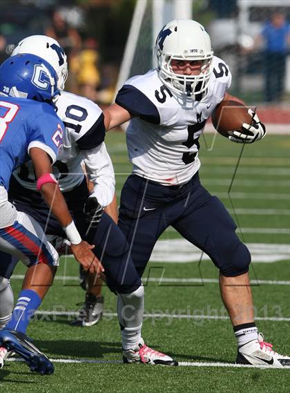 Thumbnail 3 in Morgan @ Coginchaug Regional photogallery.