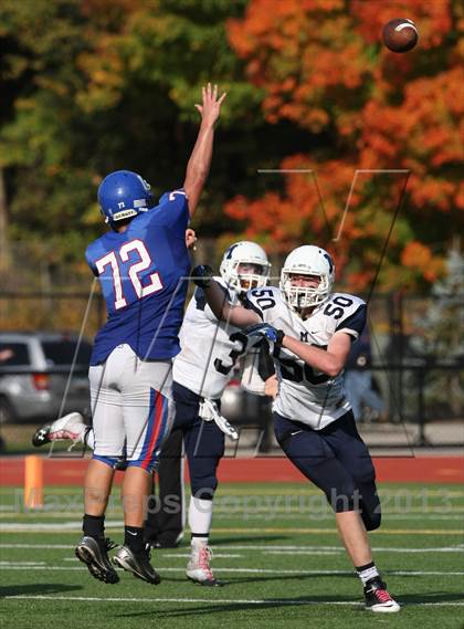 Thumbnail 1 in Morgan @ Coginchaug Regional photogallery.