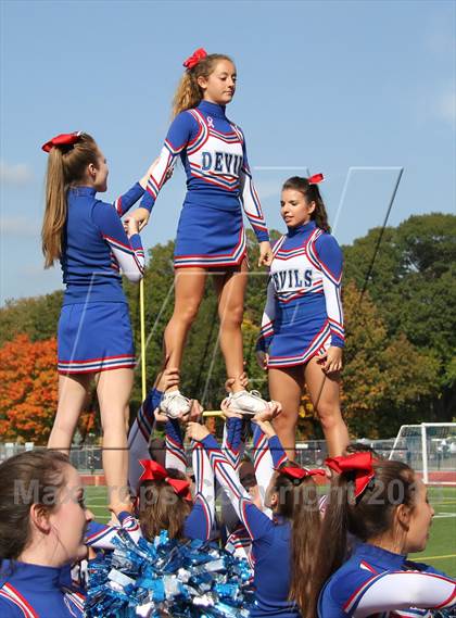 Thumbnail 1 in Morgan @ Coginchaug Regional photogallery.