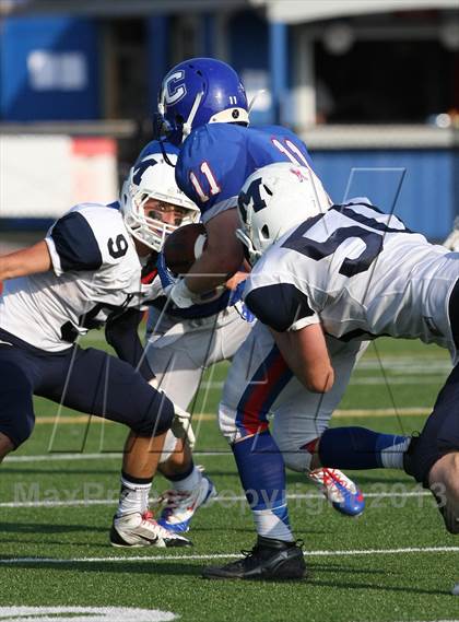 Thumbnail 2 in Morgan @ Coginchaug Regional photogallery.