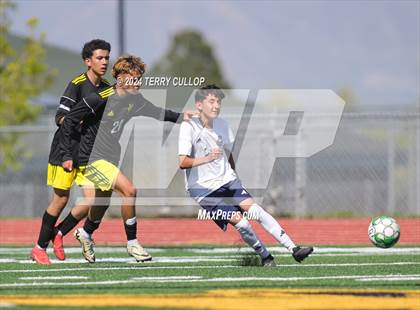 Thumbnail 2 in Hunter @ Kearns photogallery.