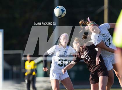 Thumbnail 2 in Absegami @ Mainland Regional photogallery.