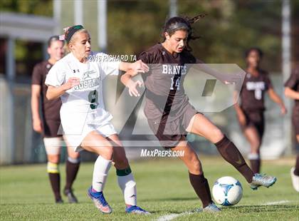 Thumbnail 3 in Absegami @ Mainland Regional photogallery.