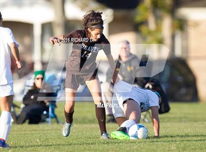 Thumbnail 3 in Absegami @ Mainland Regional photogallery.