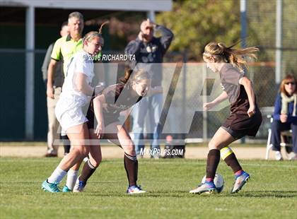 Thumbnail 3 in Absegami @ Mainland Regional photogallery.