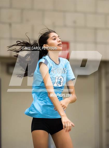 Thumbnail 1 in Burroughs @ Los Osos photogallery.