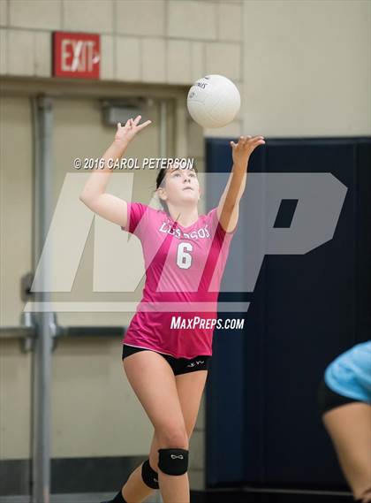 Thumbnail 1 in Burroughs @ Los Osos photogallery.