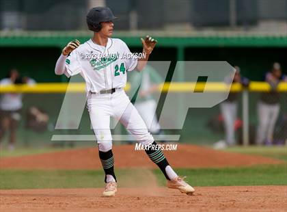 Thumbnail 2 in Sunrise Mountain @ Virgin Valley photogallery.