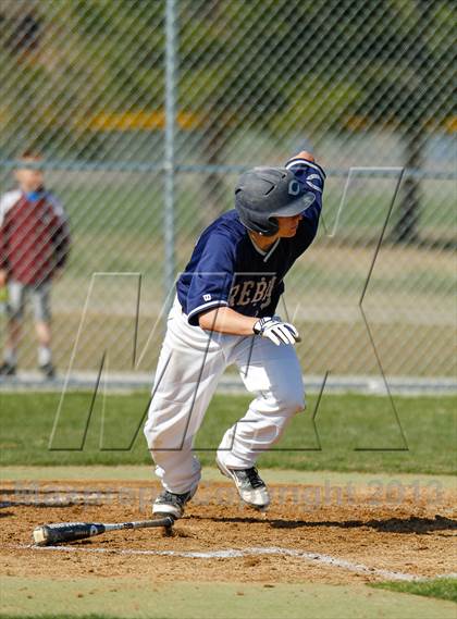 Thumbnail 1 in Arvada West vs. Columbine photogallery.