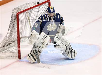 Thumbnail 2 in Brockport vs. Notre Dame (Section 5 Class B Semifinal) photogallery.