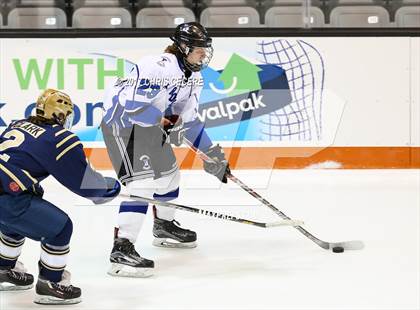 Thumbnail 1 in Brockport vs. Notre Dame (Section 5 Class B Semifinal) photogallery.