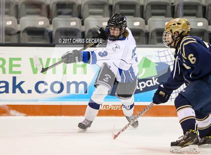 Thumbnail 3 in Brockport vs. Notre Dame (Section 5 Class B Semifinal) photogallery.