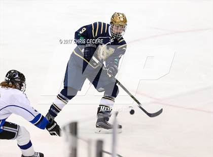 Thumbnail 1 in Brockport vs. Notre Dame (Section 5 Class B Semifinal) photogallery.