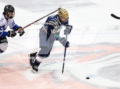 Thumbnail 1 in Brockport vs. Notre Dame (Section 5 Class B Semifinal) photogallery.