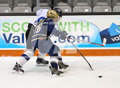 Thumbnail 1 in Brockport vs. Notre Dame (Section 5 Class B Semifinal) photogallery.