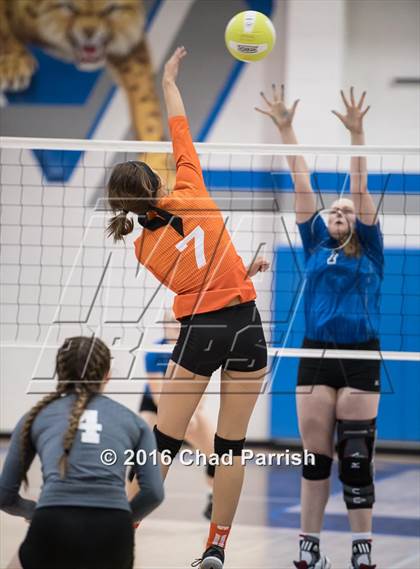 Thumbnail 2 in Mineola @ Rains photogallery.