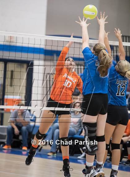 Thumbnail 3 in Mineola @ Rains photogallery.