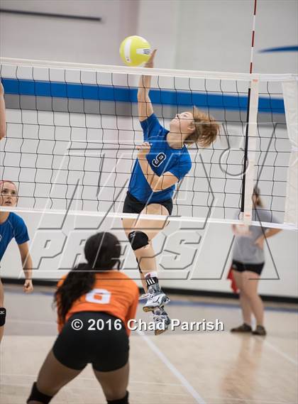 Thumbnail 1 in Mineola @ Rains photogallery.