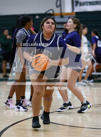 Thumbnail 3 in NSU University @ Pine Crest photogallery.