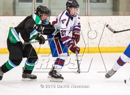 Thumbnail 2 in Fermi/Enfield/East Granby @ Farmington/Avon/Windsor photogallery.