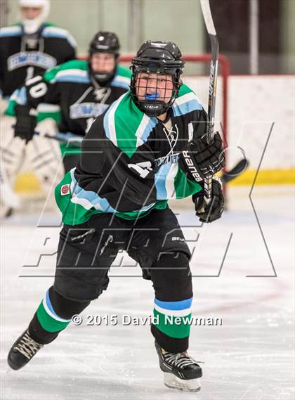 Thumbnail 3 in Fermi/Enfield/East Granby @ Farmington/Avon/Windsor photogallery.