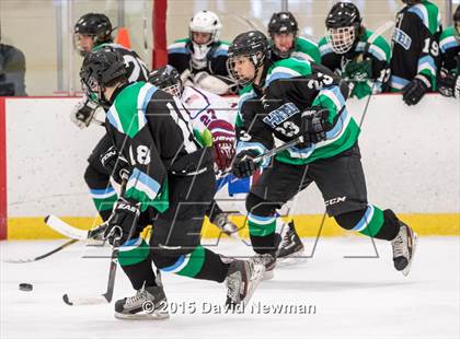 Thumbnail 1 in Fermi/Enfield/East Granby @ Farmington/Avon/Windsor photogallery.