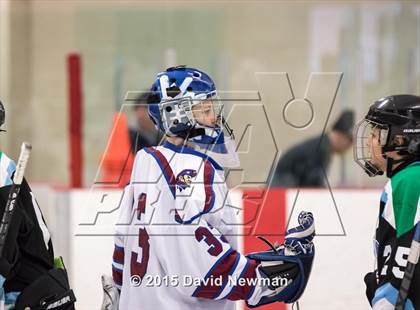 Thumbnail 1 in Fermi/Enfield/East Granby @ Farmington/Avon/Windsor photogallery.