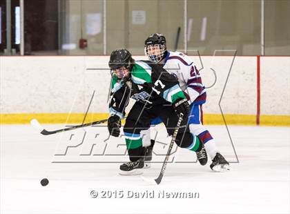 Thumbnail 3 in Fermi/Enfield/East Granby @ Farmington/Avon/Windsor photogallery.