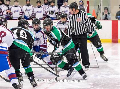 Thumbnail 3 in Fermi/Enfield/East Granby @ Farmington/Avon/Windsor photogallery.