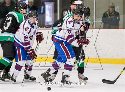 Thumbnail 2 in Fermi/Enfield/East Granby @ Farmington/Avon/Windsor photogallery.