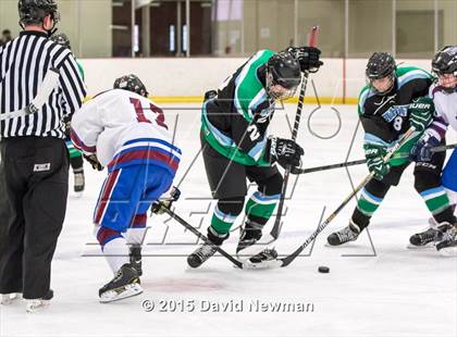 Thumbnail 3 in Fermi/Enfield/East Granby @ Farmington/Avon/Windsor photogallery.