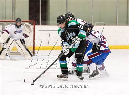 Thumbnail 2 in Fermi/Enfield/East Granby @ Farmington/Avon/Windsor photogallery.